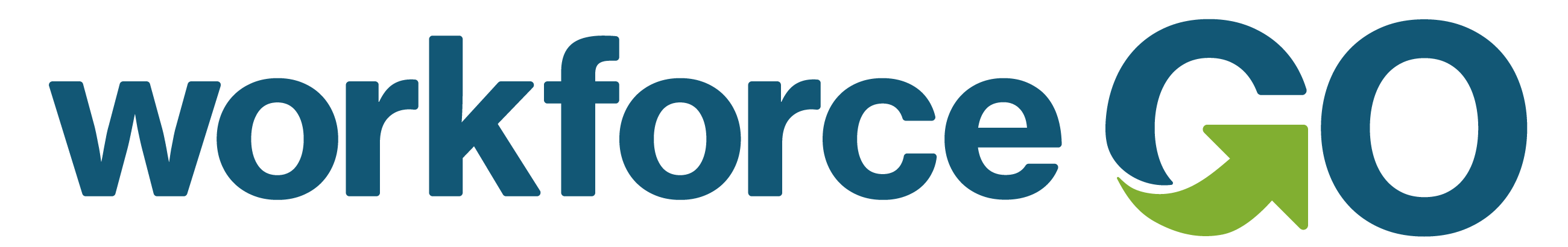 HCM for HR and Payroll - Workforce Go!