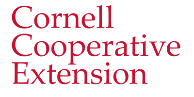 ERP Implementation - Cornell Cooperative Extension And Acumatica