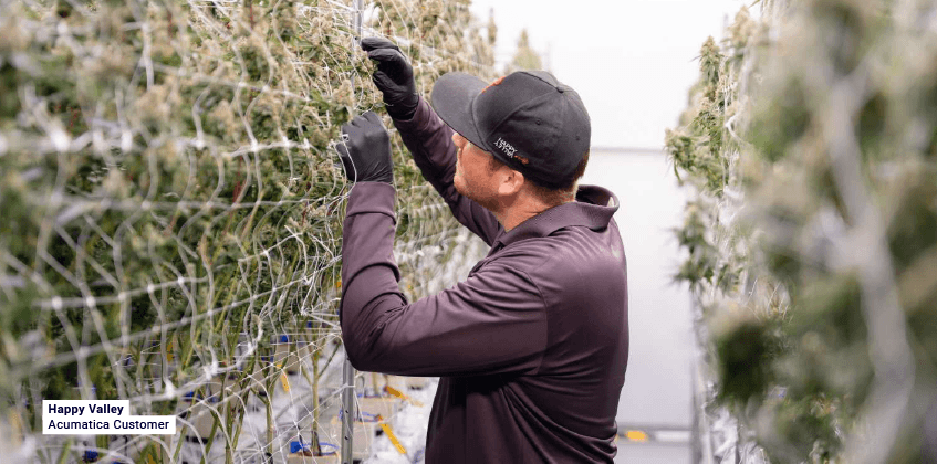 Seizing Growth Opportunities: How Comprehensive ERP Solutions Can Help Emerging Cannabis Businesses
